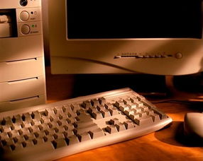 《电子计算机图册》 一部网络时代的数字进化简史